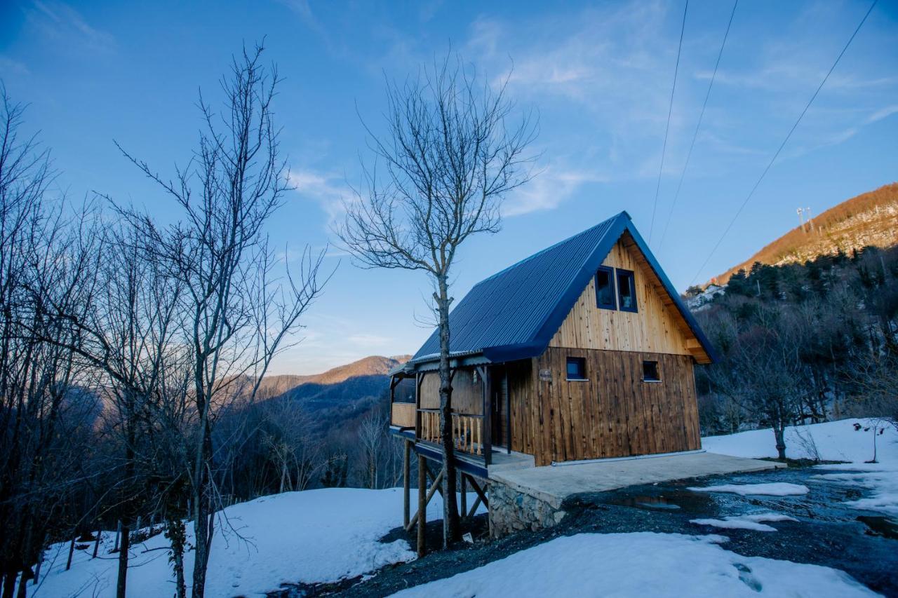 Maksudiye Selale Tatil Koyu Villa Geyve Exteriör bild